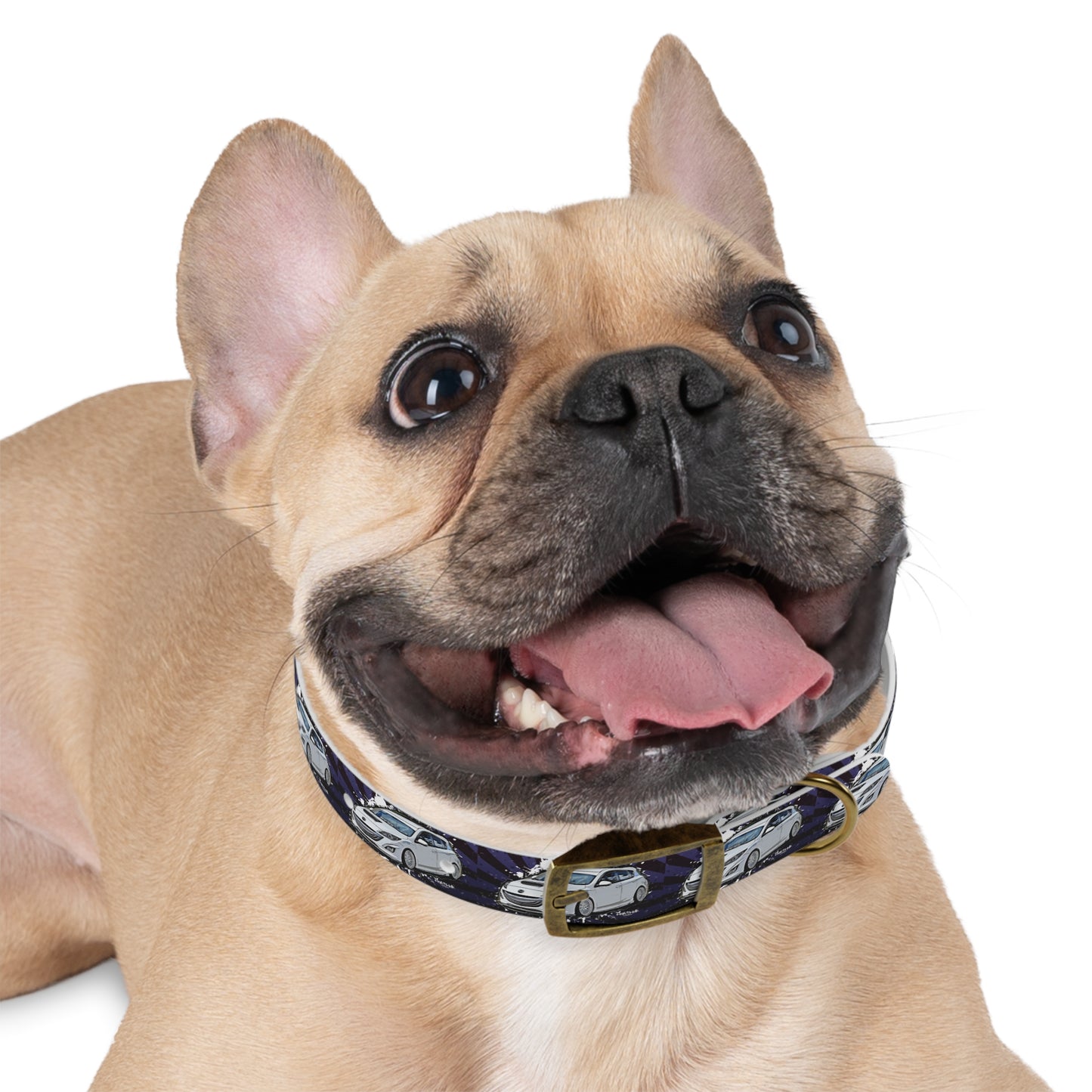 Mazdaspeed3 Dog Collar