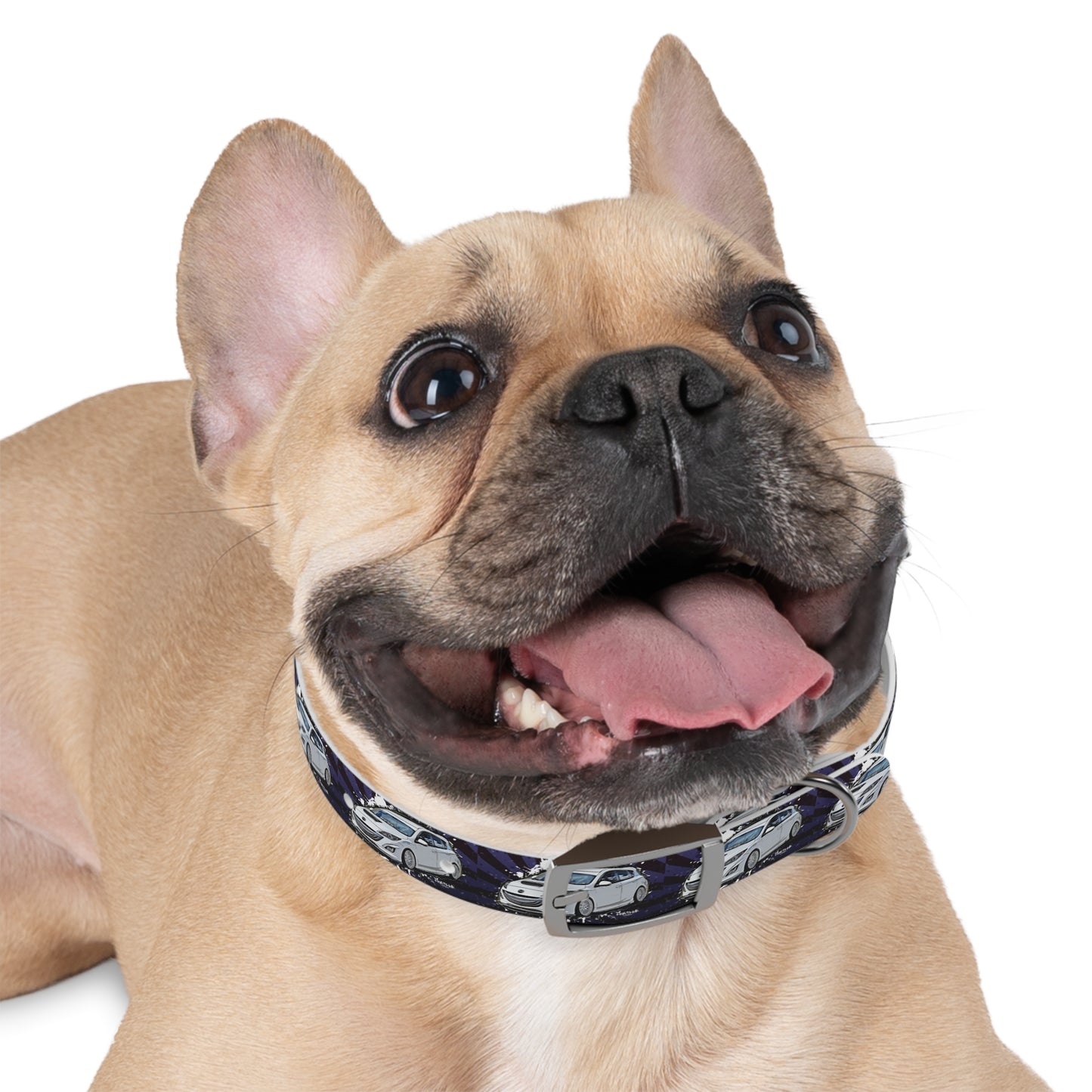 Mazdaspeed3 Dog Collar