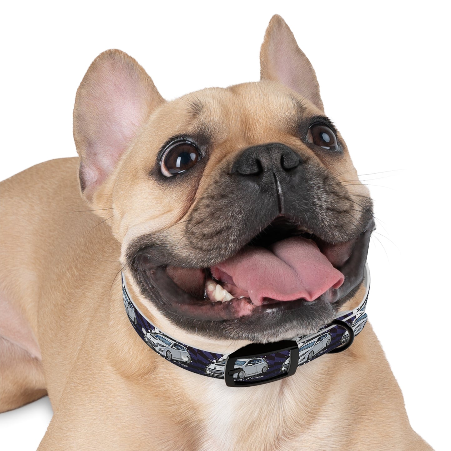 Mazdaspeed3 Dog Collar